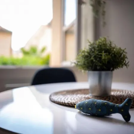 Studio Tout Equipe Au Coeur De Aix En Provence